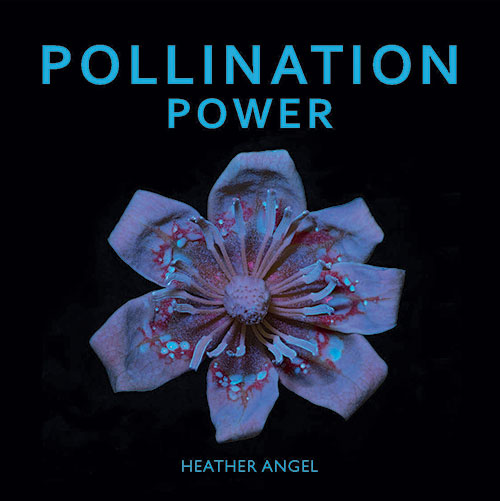 Pollination-Power-jacket_500px