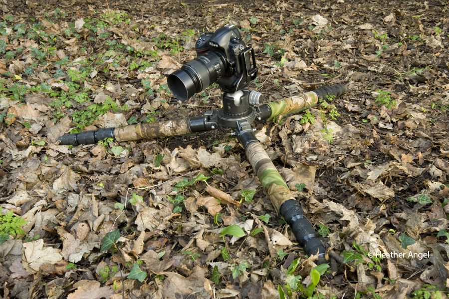 Gitzo tripods without a centre column can be speedily collapsed down to ground level. This one is fitted with camouflage leg warmers.