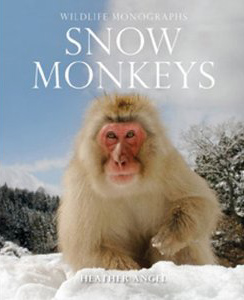 heather_angel_snow_monkeys